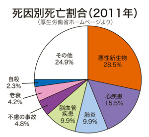 死因別死亡割合