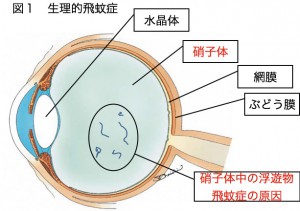 Igaku01