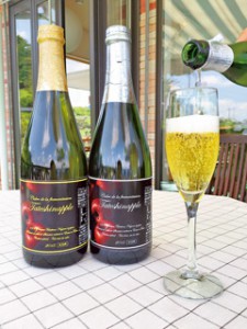 芳醇な香りが楽しめるりんごの微発泡酒「シードル」は、長野県原産地呼称管理認定商品。微甘口のデミ-セックと辛口のブリュットの２種類。750ml各3,240円