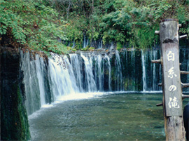 白糸の滝のイメージ画像